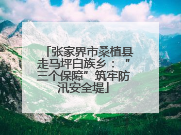 张家界市桑植县走马坪白族乡：“三个保障”筑牢防汛安全堤